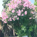 Villa-gaby Entiere Et Piscine *