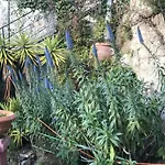 Villa-gaby Entiere Et Piscine *